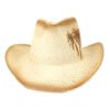 Straw Western Cowboy Hat # 1 O1CN01T4eX4T1ShMtqMIYin 3066222278 0 cib